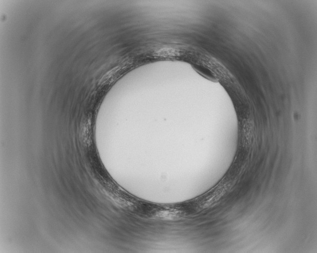 X0000059840364200511181519