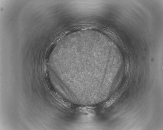 X0000059840367200511181519