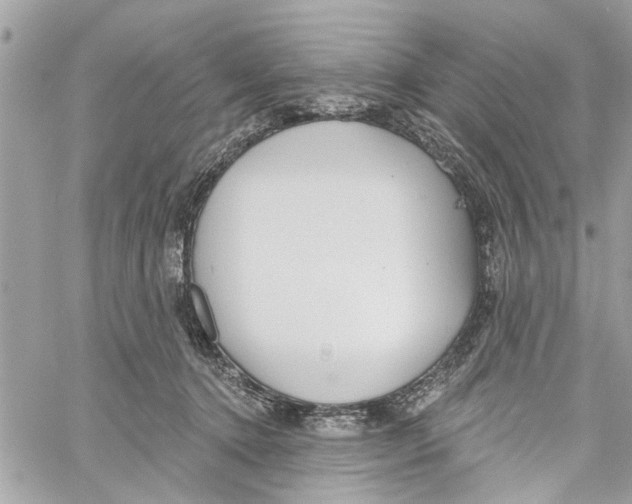 X0000059840368200511181519