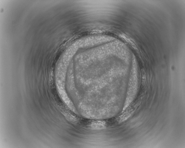 X0000059840369200511181519