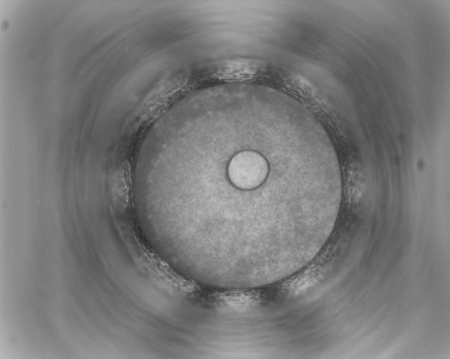 X0000059840370200511181519