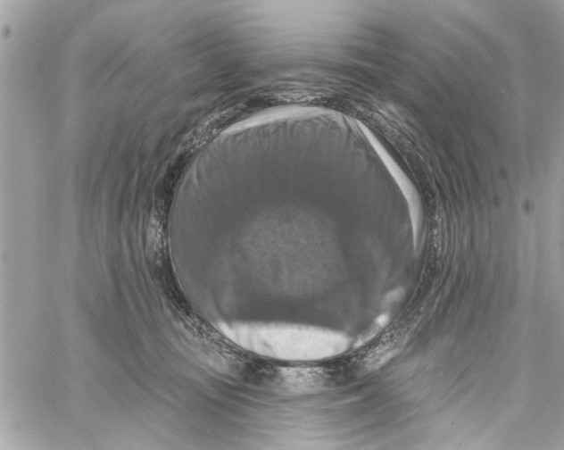 X0000059840371200511181519