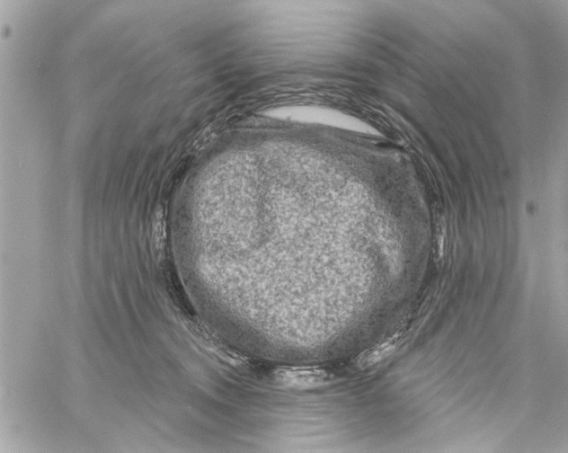 X0000059840372200511181519