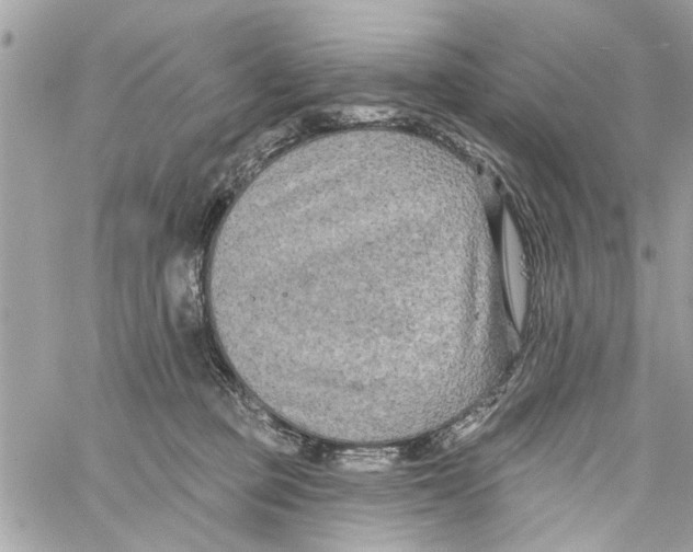 X0000059840373200511181519