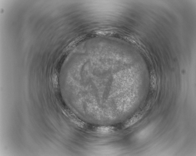 X0000059840375200511181519