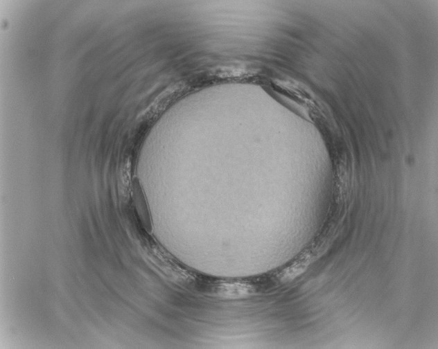 X0000059840376200511181519