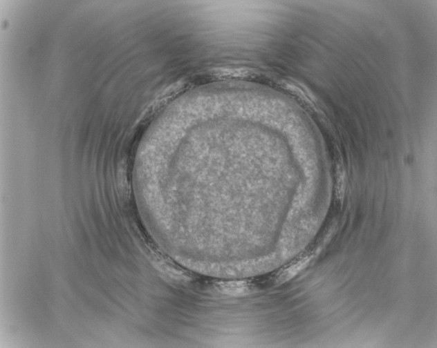 X0000059840377200511181519