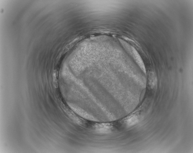 X0000059840378200511181519