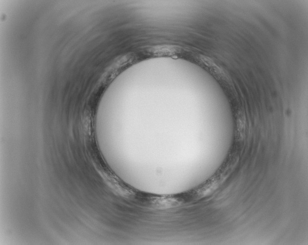 X0000059840379200511181519