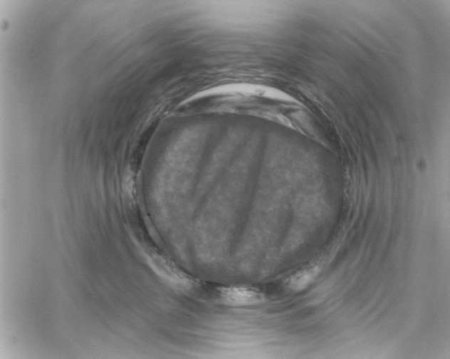 X0000059840380200511181519