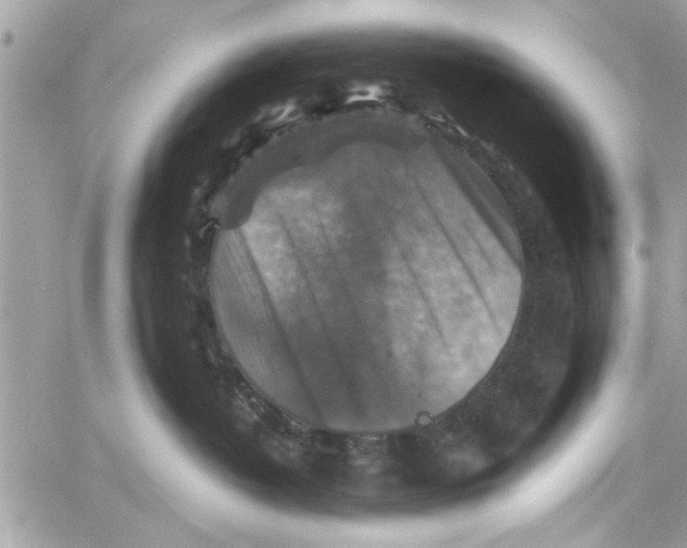 X0000059840382200511181519