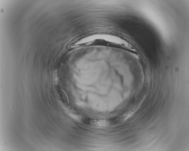 X0000059840383200511181519