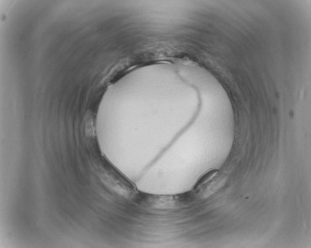 X0000059840384200511181519