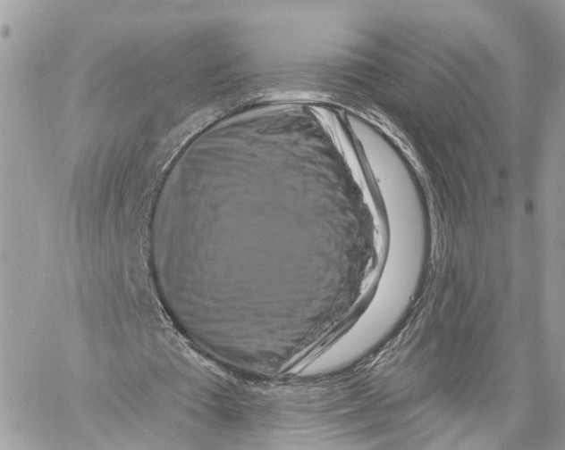 X0000059840385200511181518