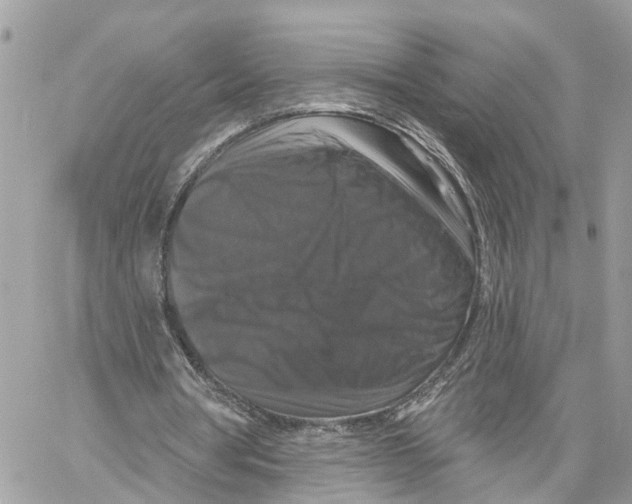 X0000059840386200511181518