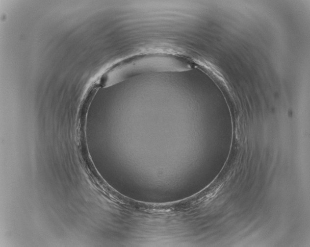 X0000059840388200511181518