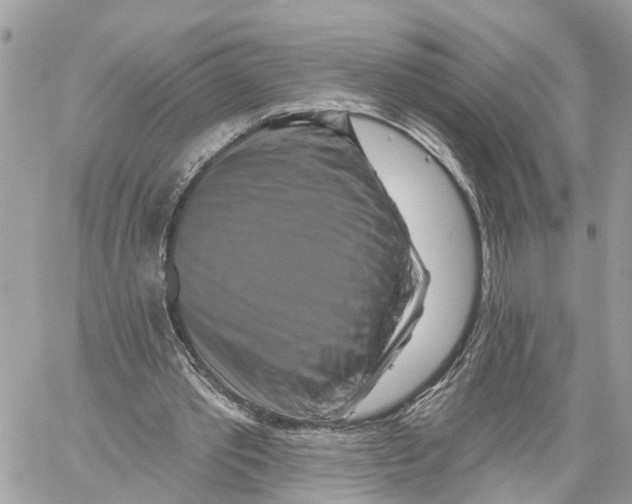 X0000059840389200511181518