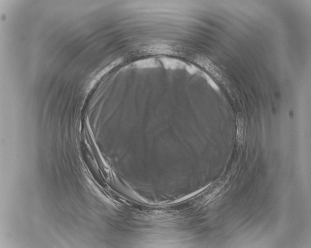 X0000059840390200511181518