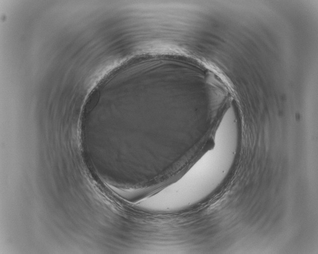 X0000059840391200511181518