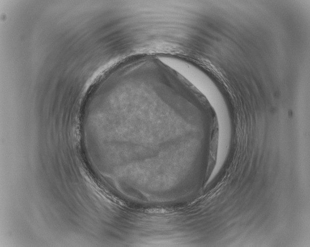 X0000059840392200511181518