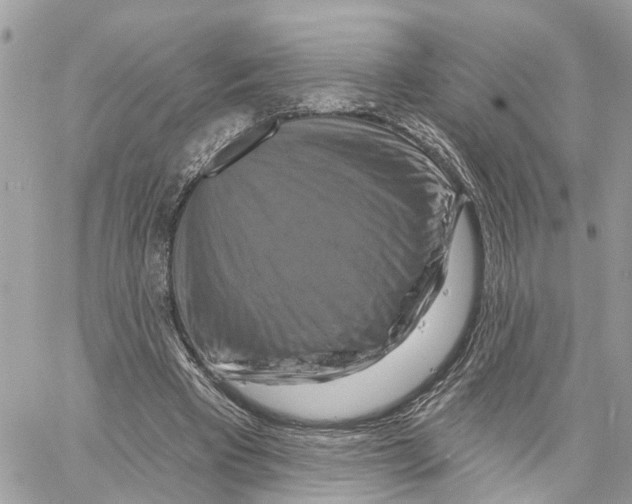 X0000059840393200511181518