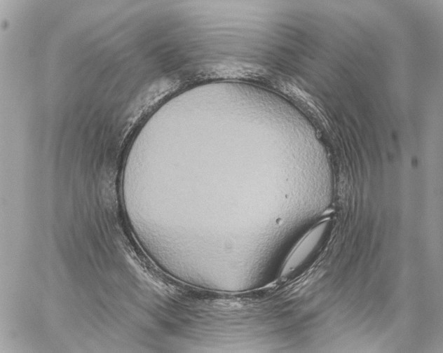 X0000059840394200511181518