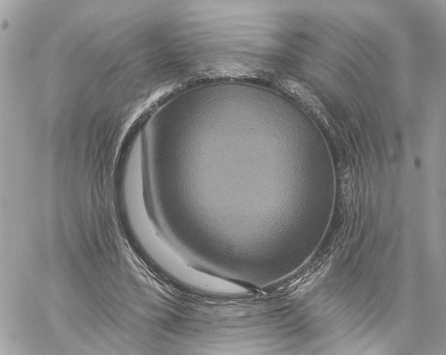 X0000059840395200511181518