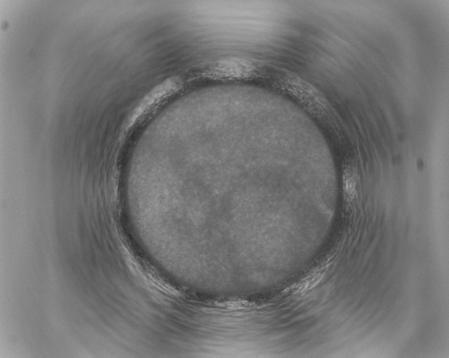 X0000059840396200511181518