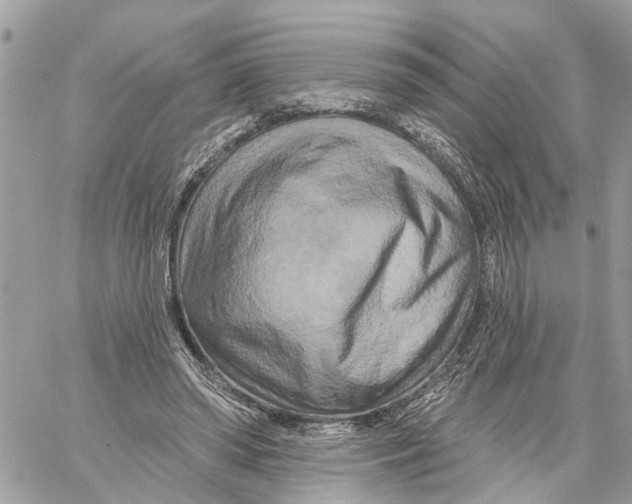 X0000059840398200511181518