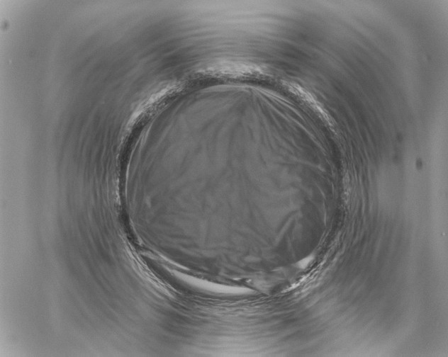 X0000059840399200511181518