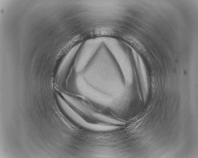 X0000059840401200511181518