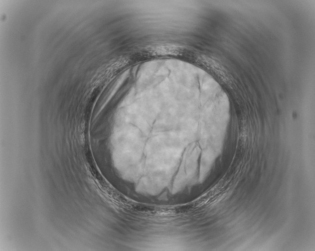 X0000059840402200511181518