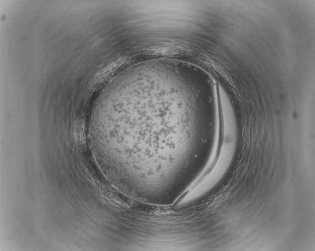 X0000059840403200511181518