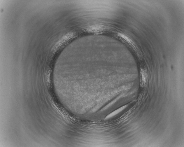 X0000059840404200511181518