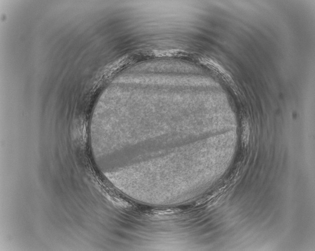 X0000059840405200511181518