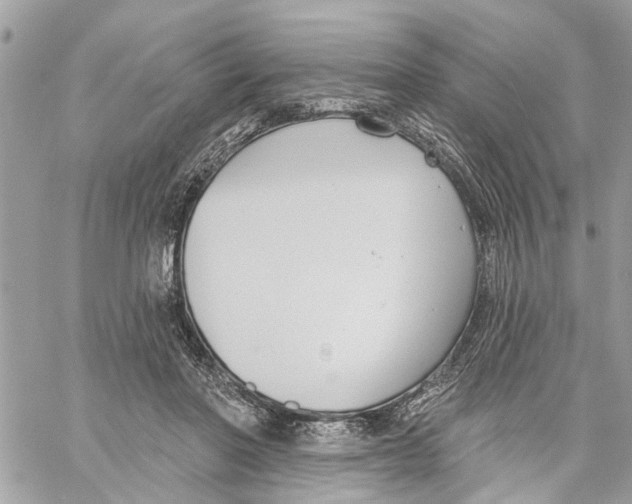 X0000059840406200511181518