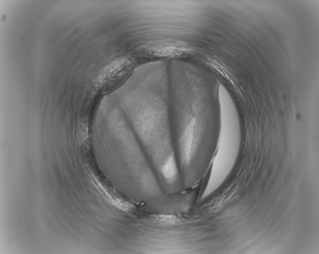 X0000059840407200511181518