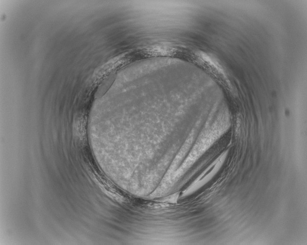 X0000059840409200511181518