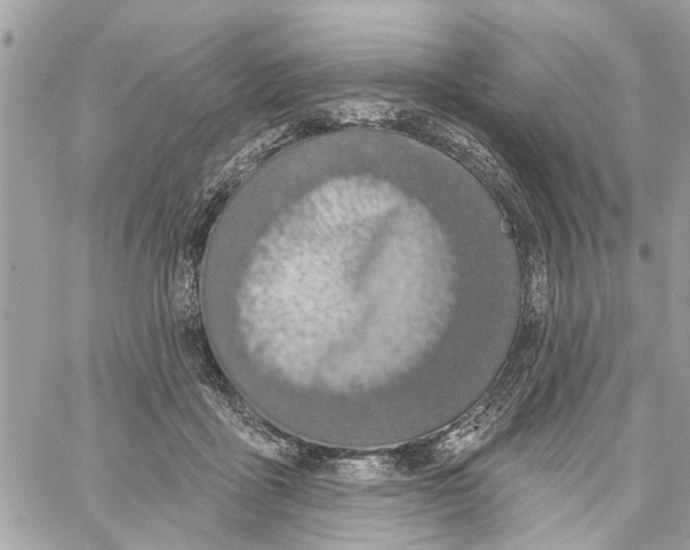 X0000059840411200511181518