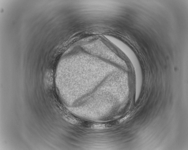 X0000059840413200511181518