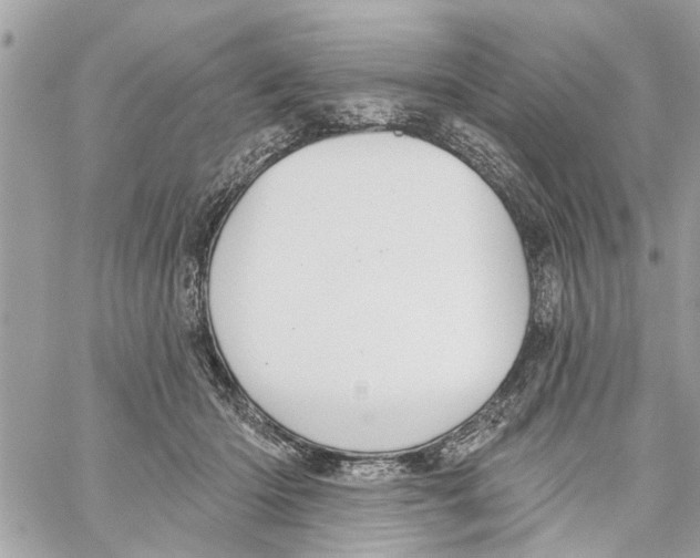 X0000059840414200511181518