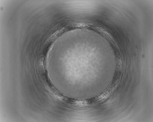 X0000059840415200511181518