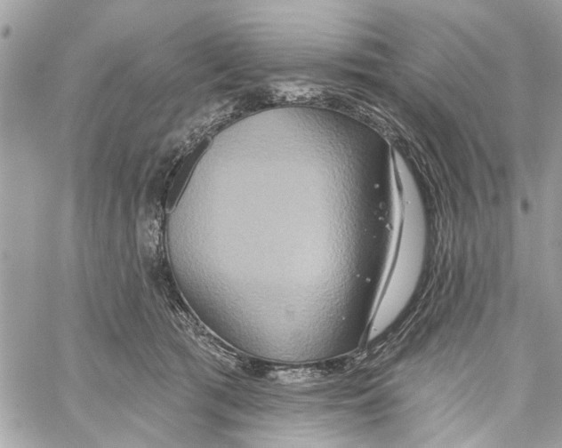 X0000059840417200511181518