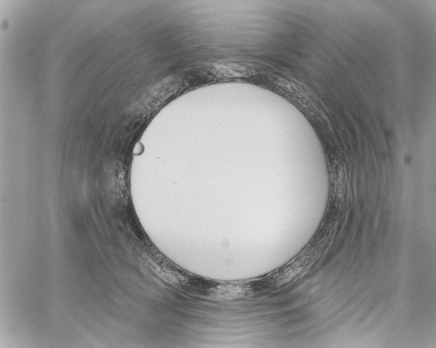 X0000059840418200511181518