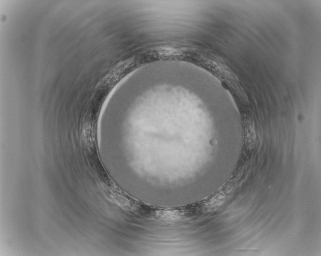 X0000059840419200511181518