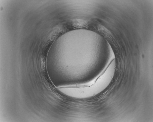 X0000059840420200511181518