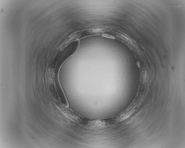 X0000059840421200511181518