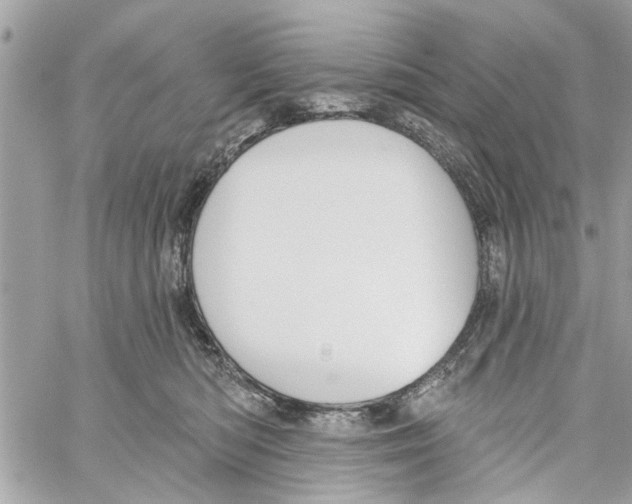 X0000059840422200511181518