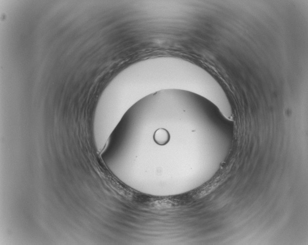 X0000059840423200511181518