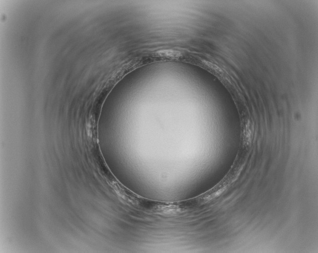 X0000059840424200511181518